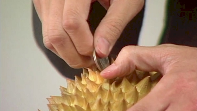 生活 10元硬幣開榴槤