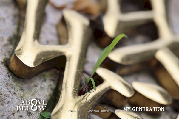 2020.11.08|石上金綠誰眼尖?一支新綠向天鳴。