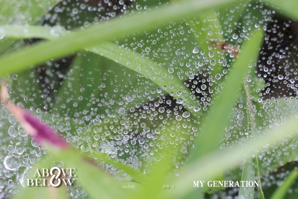 2020.11.08|雨中的珍珠,只屬於當下濕透了的珍惜。