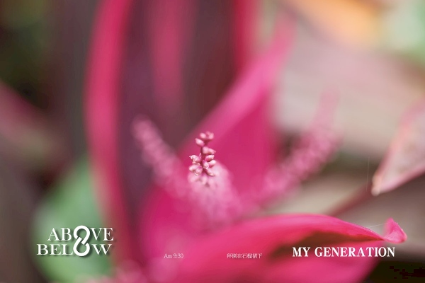 2020.11.08|莫怪行匆匆,難見芳心綻。